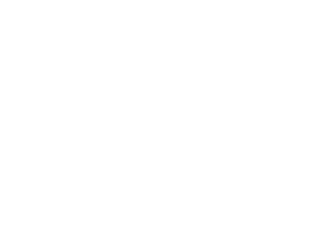 Message from the President/ Our vision