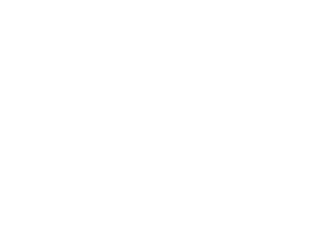 Corporate information/ History